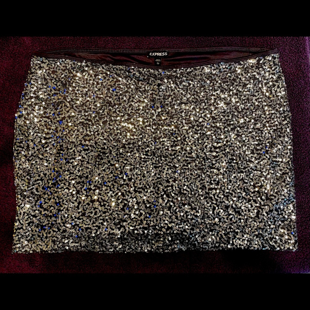 Express Silver Sequin Skirt